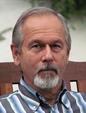 Gömülü yazılımlar donanımın bir uzantısı değil, donanım yazılımın vücut bulmuş hali