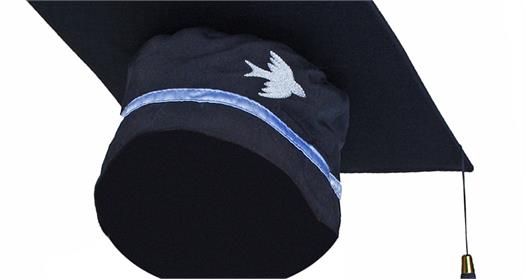 Kayıt döneminin kapsamlı rehberi