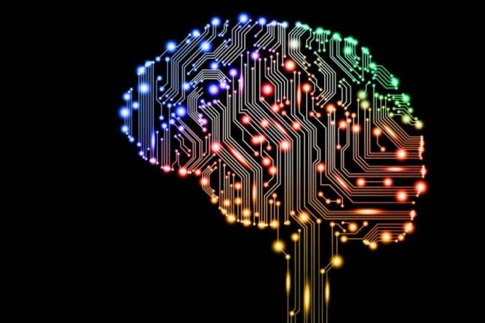 Yapay zeka kanseri koklayacak