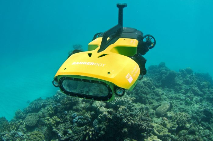 Büyük Set Resifi'ni insansız deniz altı robotları koruyacak