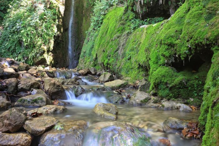 Yapay zeka ile belediyeciliğin detayları Hatay’da