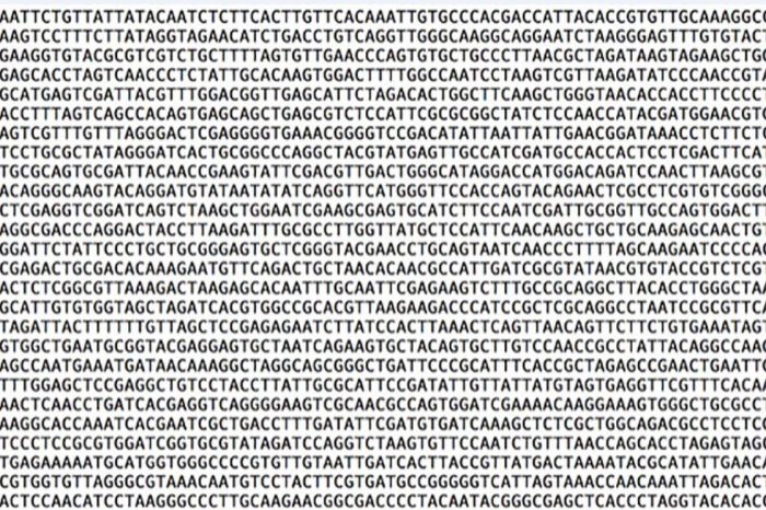 Sentetik DNA, veri depolayacak