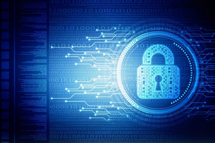 Siber Güvenlik Portalı, EBA bünyesinde yayına başladı