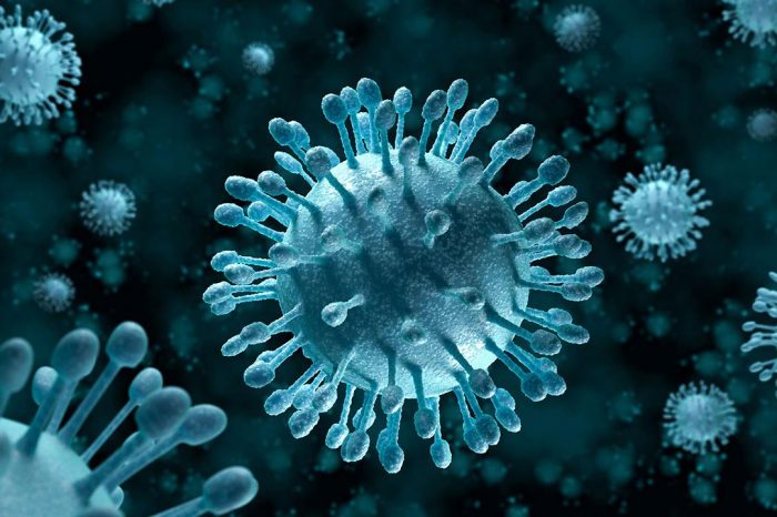 Türkiye’de Koronavirüs Salgını ile ilgili araştırma yapıldı!