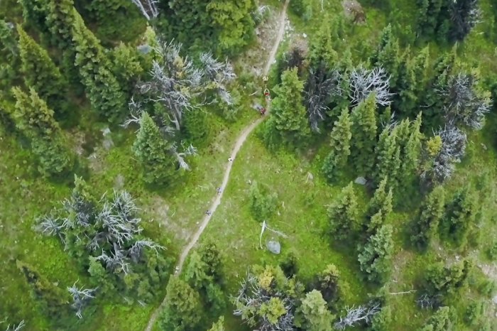 Signify karbon nötr olmayı başardı ve rotasını çevre ve toplum üzerindeki olumlu etkisini ikiye katlamaya çevirdi
