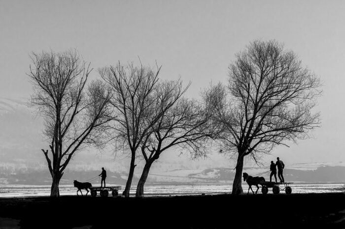 Böyle Olur Delikanlıların Yarışı