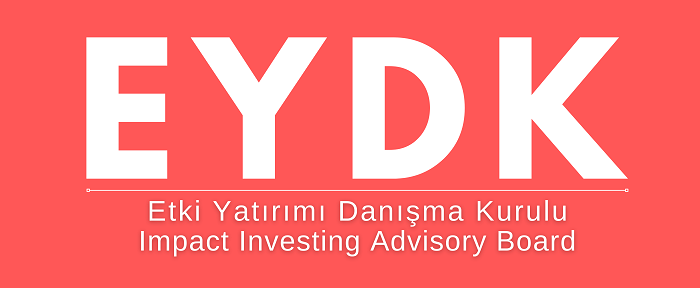 Turkey enters into the impact investment league