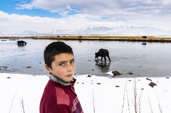 Çoban Memet’in Hayali